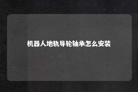 机器人地轨导轮轴承怎么安装 